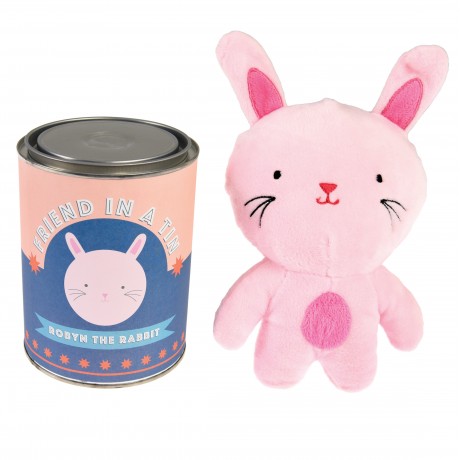 Λούτρινο Λαγός σε κουτί 